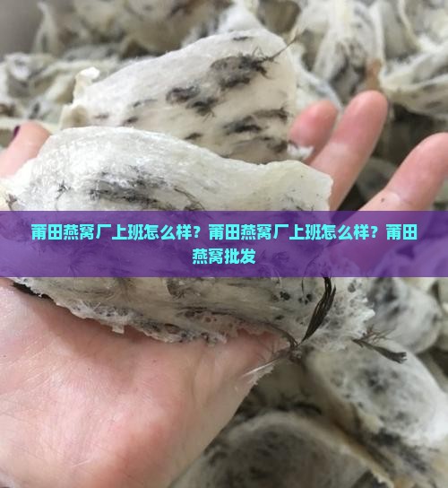 莆田燕窝厂上班怎么样？莆田燕窝厂上班怎么样？莆田燕窝批发