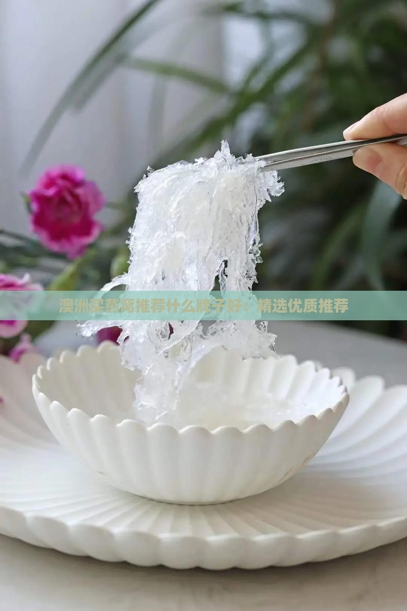 澳洲买燕窝推荐什么牌子好：精选优质推荐