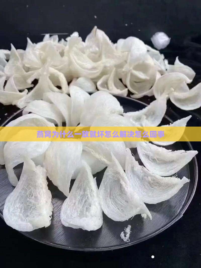 燕窝为什么一放就坏怎么解决怎么回事