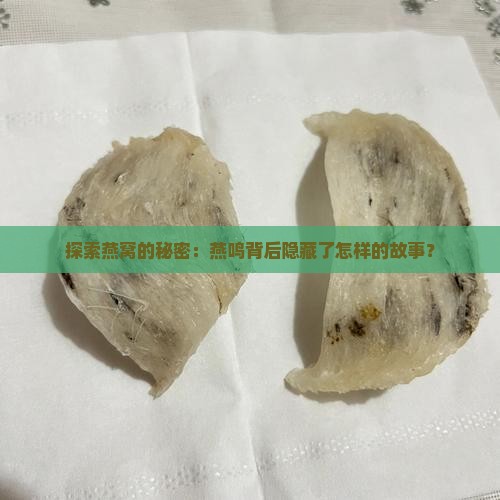 探索燕窝的秘密：燕鸣背后隐藏了怎样的故事？