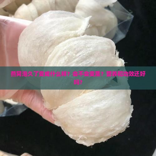 燕窝泡久了变成什么样？会不会变质？营养和功效还好吗？