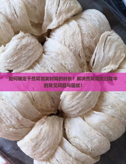 如何确定干燕窝泡发时间的时长？解决燕窝泡发过程中的常见问题与困扰！
