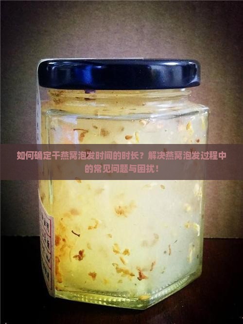 如何确定干燕窝泡发时间的时长？解决燕窝泡发过程中的常见问题与困扰！