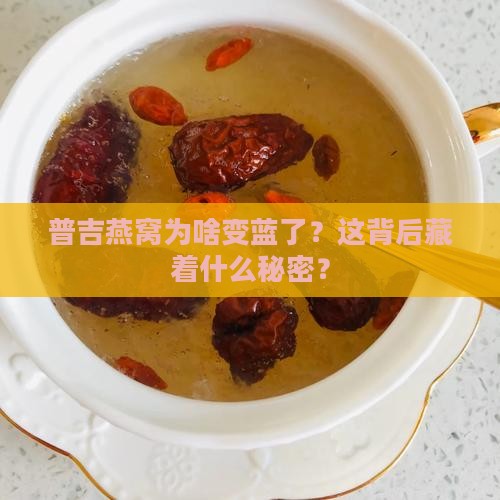 普吉燕窝为啥变蓝了？这背后藏着什么秘密？