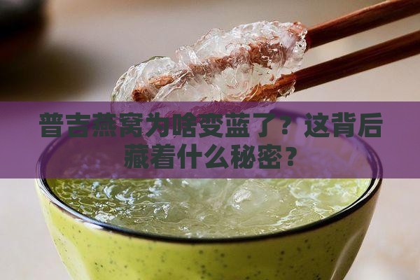 普吉燕窝为啥变蓝了？这背后藏着什么秘密？