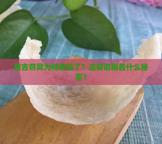 普吉燕窝为啥变蓝了？这背后藏着什么秘密？