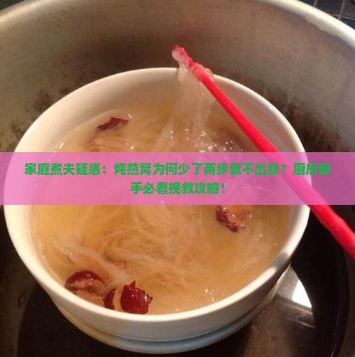家庭煮夫疑惑:炖燕窝为何少了两步就不出胶?厨房新手必看挽救攻略! 家庭煮夫疑惑:炖燕窝为何少了两步就不出胶?厨房新手必看挽救攻略!