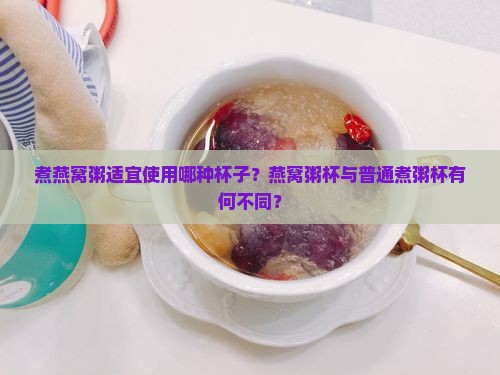 煮燕窝粥适宜使用哪种杯子?燕窝粥杯与普通煮粥杯有何不同? 煮燕窝粥适宜使用哪种杯子?燕窝粥杯与普通煮粥杯有何不同?