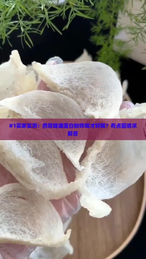 #1买家实测：燕窝健康蛋白粉咋喝才好喝？有点困惑求解答