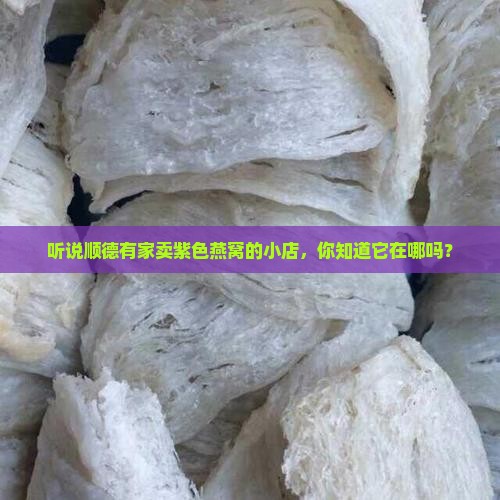 听说顺德有家卖紫色燕窝的小店，你知道它在哪吗？