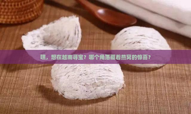 越南哪个地方有燕窝卖