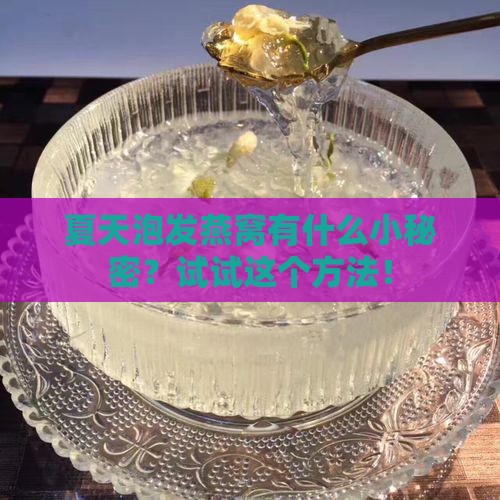 夏季如何泡发燕窝呢窍门