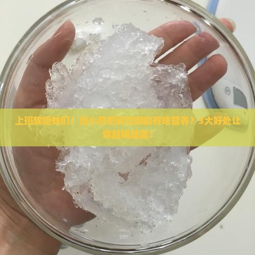 泡小燕燕窝饮有什么营养