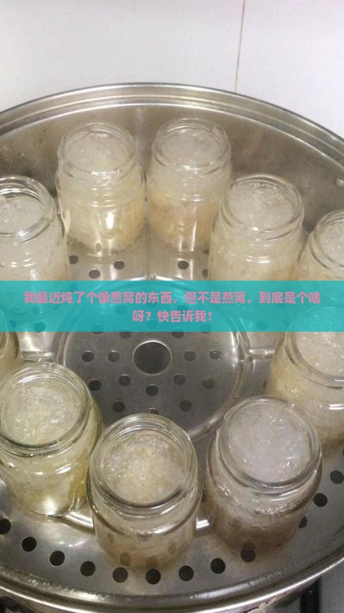像燕窝不是燕窝是什么呢