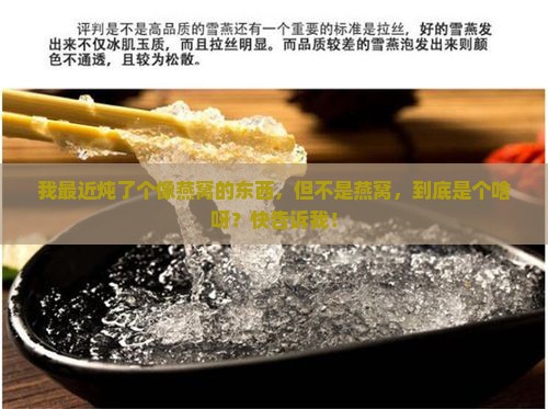 像燕窝不是燕窝是什么呢