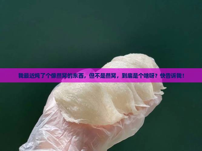 像燕窝不是燕窝是什么呢