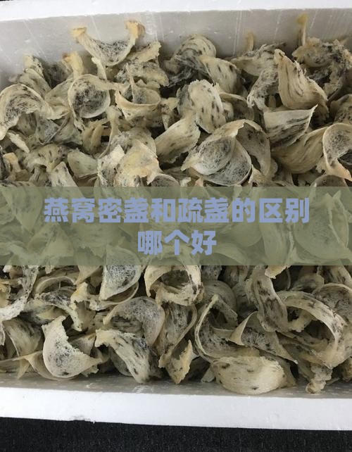 燕窝疏展跟密展哪个好