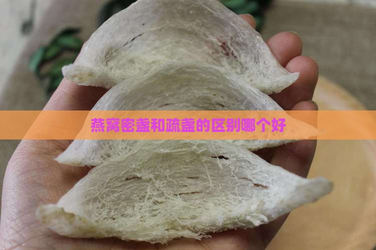 燕窝疏展跟密展哪个好