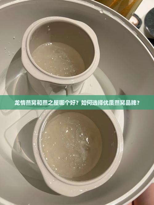 龙情燕窝和燕之屋哪个好