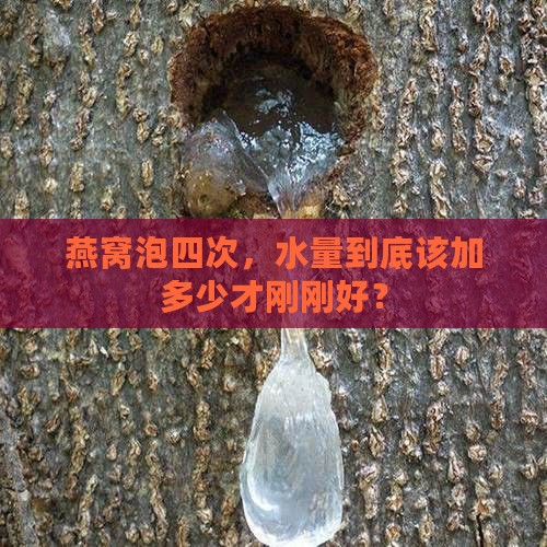 四次燕窝要泡多少水合适