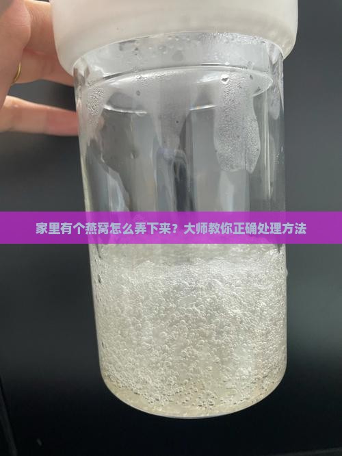 家里有个燕窝怎么弄下来