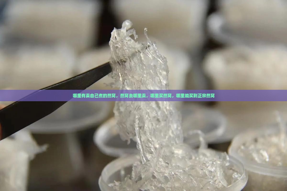 哪里有卖自己煮的燕窝