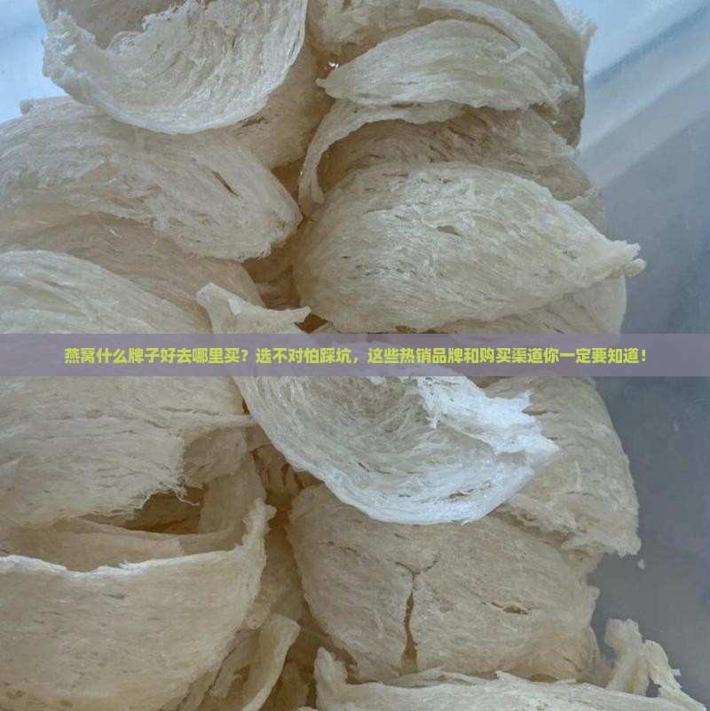 燕窝什么牌子好去哪里买