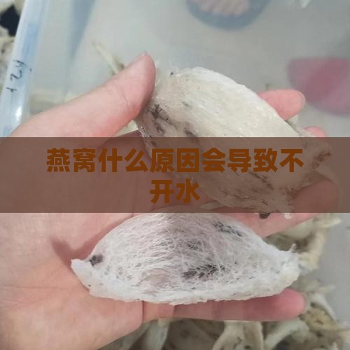 燕窝什么情况下泡不开水