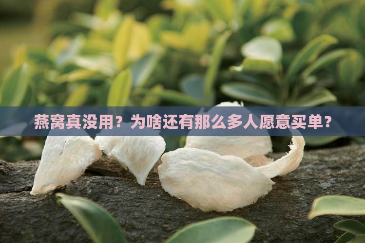 燕窝没用为什么还有人买