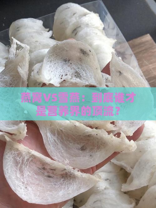 燕窝和雪燕哪个营养更高