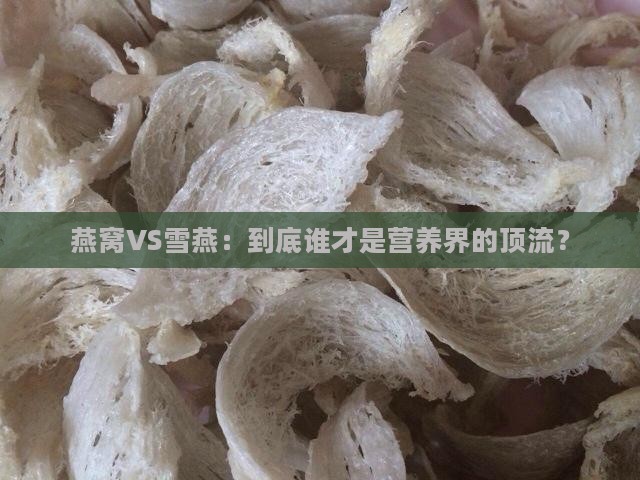 燕窝和雪燕哪个营养更高