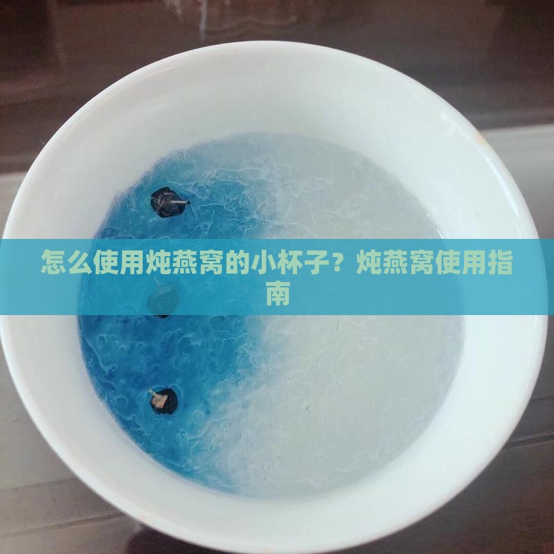 炖燕窝的小杯子怎么用