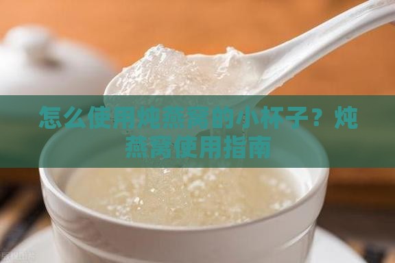 炖燕窝的小杯子怎么用
