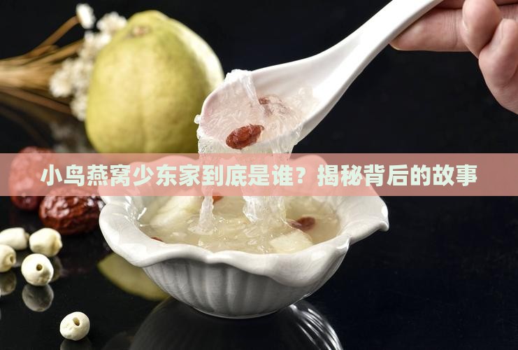 小鸟燕窝少东家叫什么