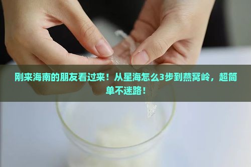 从星海去燕窝岭怎么去