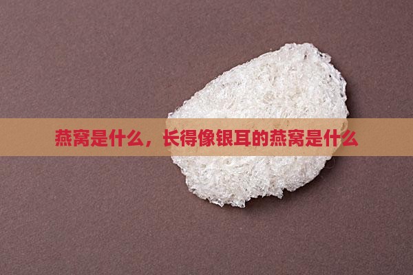 长得像银耳的燕窝是什么