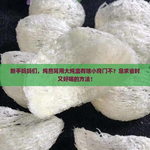 大炖盅如何炖燕窝窍门