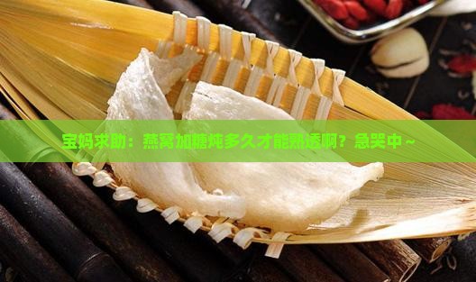 燕窝加糖炖煮多久能熟透
