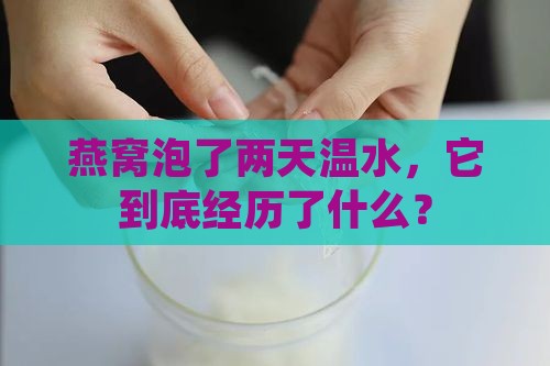 燕窝温水泡两天会怎么样