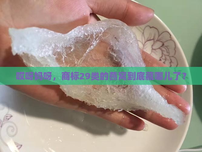 商标29类燕窝在哪里啊