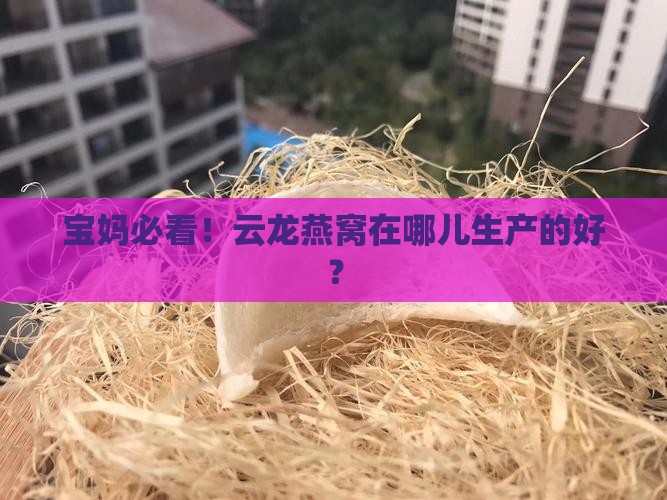 云龙燕窝在哪里生产的好