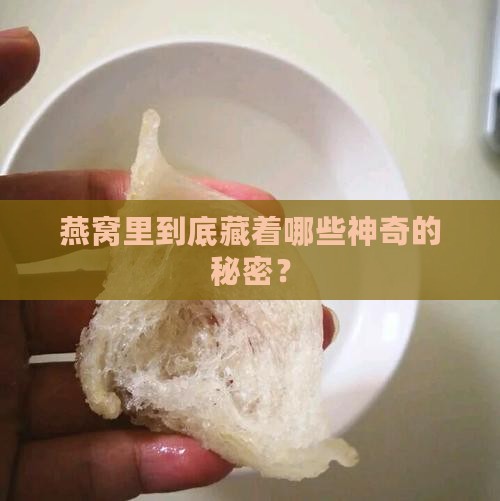 燕窝的成分结构是什么 燕窝的成分结构是什么