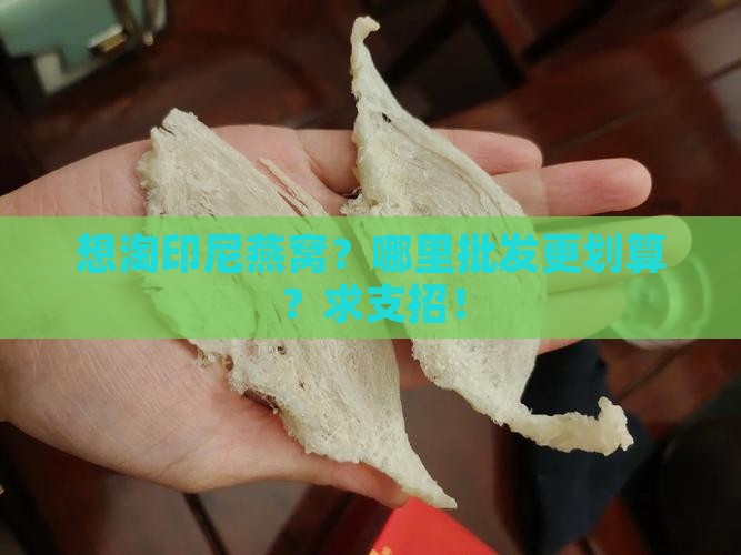 印尼燕窝批发哪里便宜点