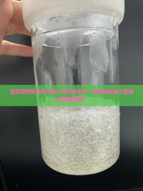 圣耳与燕窝的区别在哪里