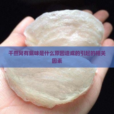 干燕窝有氨味是什么原因