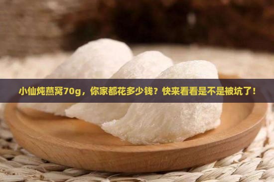 小仙炖燕窝70g大家都花多少钱