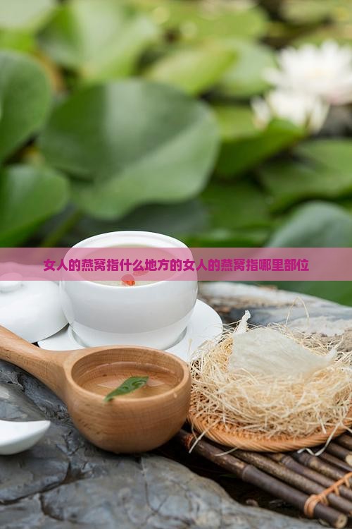 女人的燕窝指什么地方