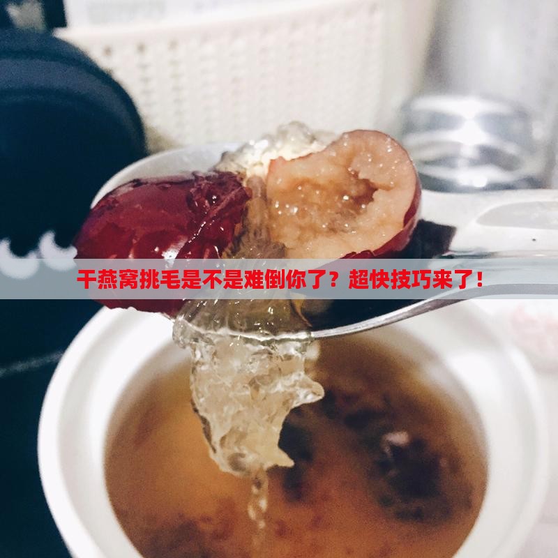 干燕窝如何快速挑毛毛