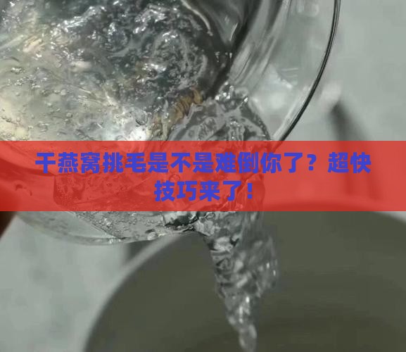 干燕窝如何快速挑毛毛