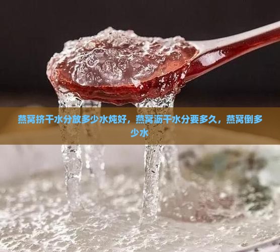 燕窝挤干水分放多少水炖